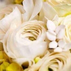 Meet your Posher, Preetie